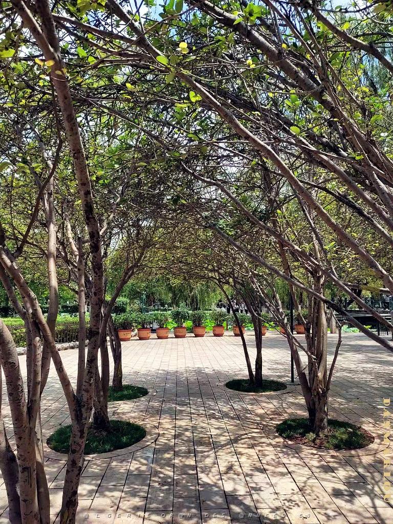 Kunming - Parc Cuihu - 60.jpg